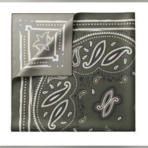 BRAND NEW Elan Silk Bandana Scarf - Green / White